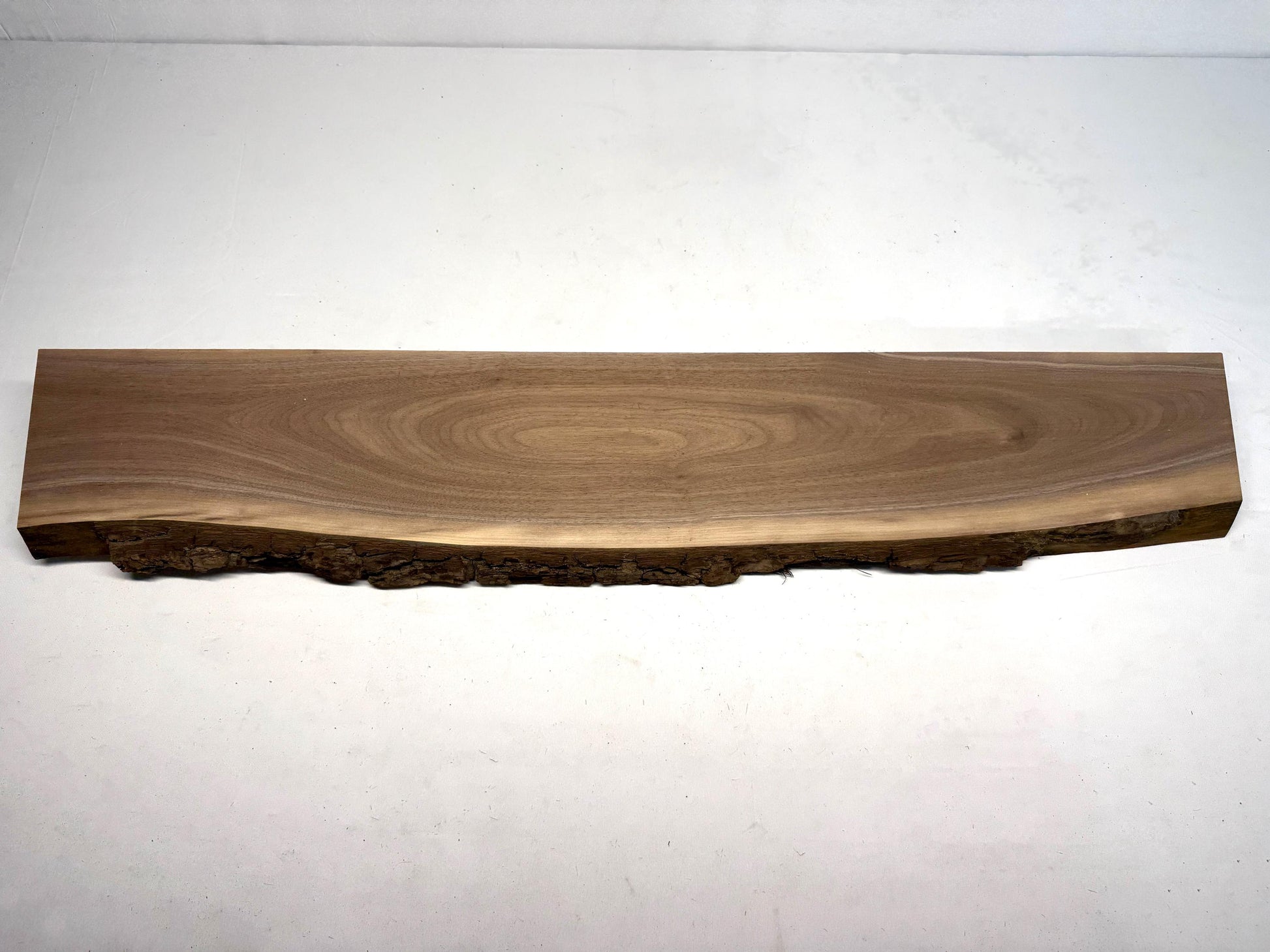 1" Black Walnut Slab: Thick, Single Live Edge, Kiln Dried